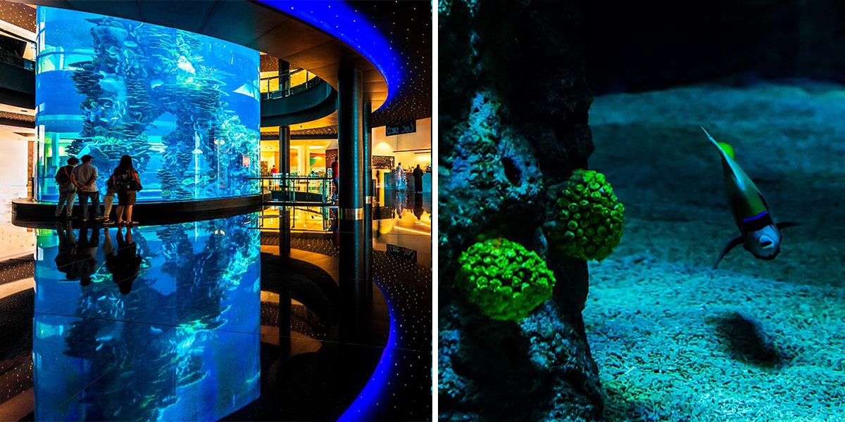 If You Haven't Seen The Largest Indoor Aquarium In Bahrain Yet, Here It