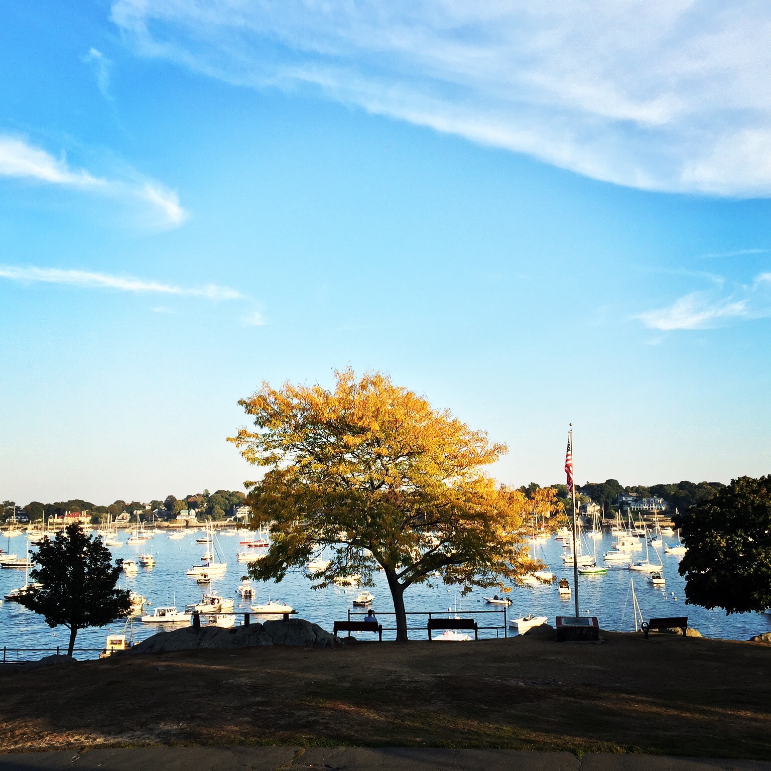 Marblehead Neck Local Captures
