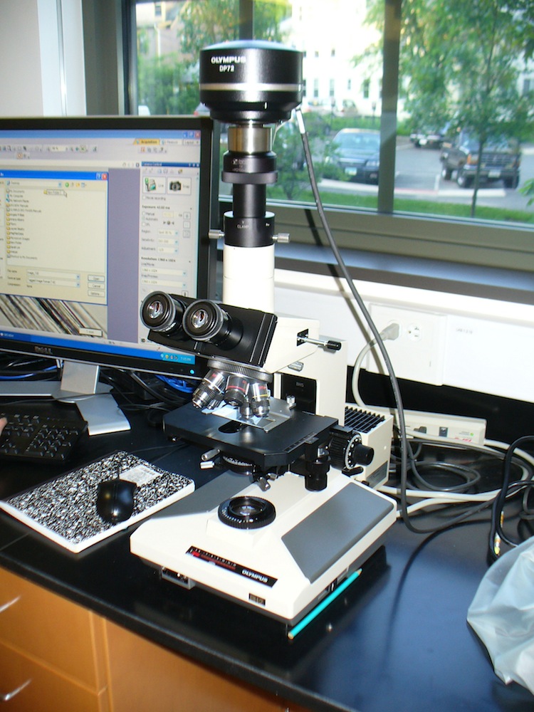 microscope Local Color Dyes