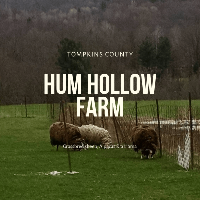 Hum Hollow Farm LocalFiber