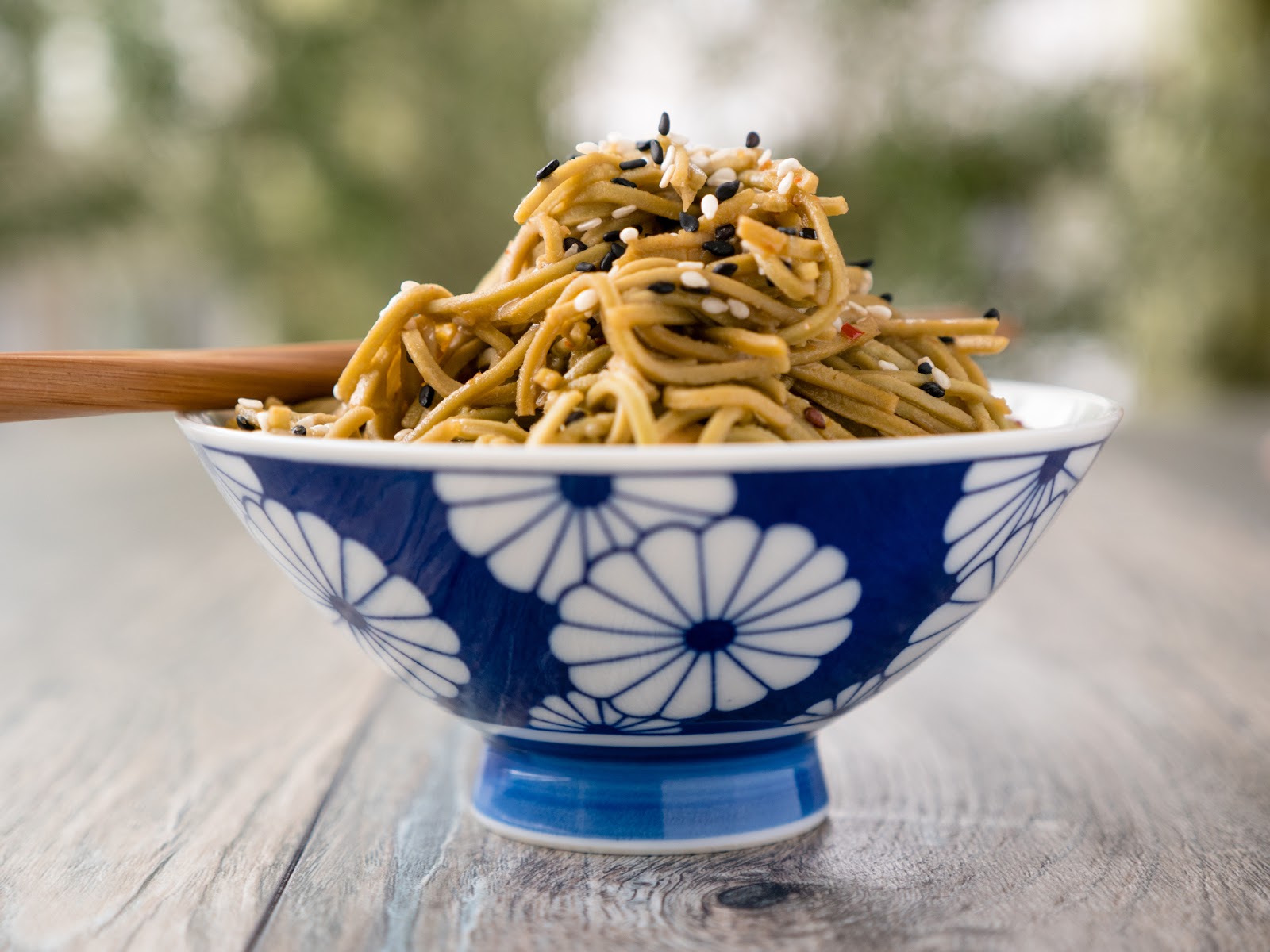 Sesame Ginger Edamame Spaghetti » Local Food Rocks