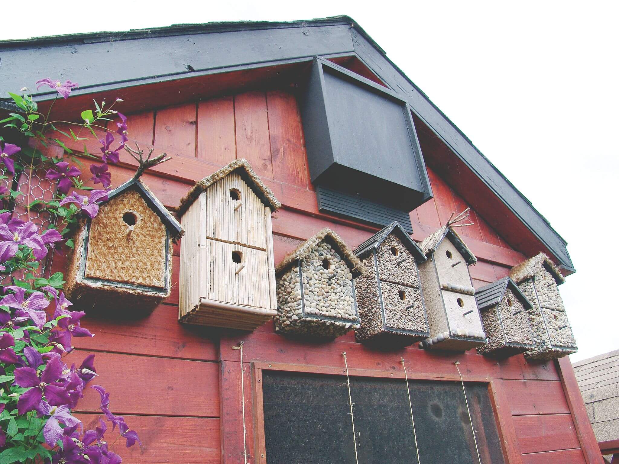 Wild bird real estate Canada's Local Gardener magazine