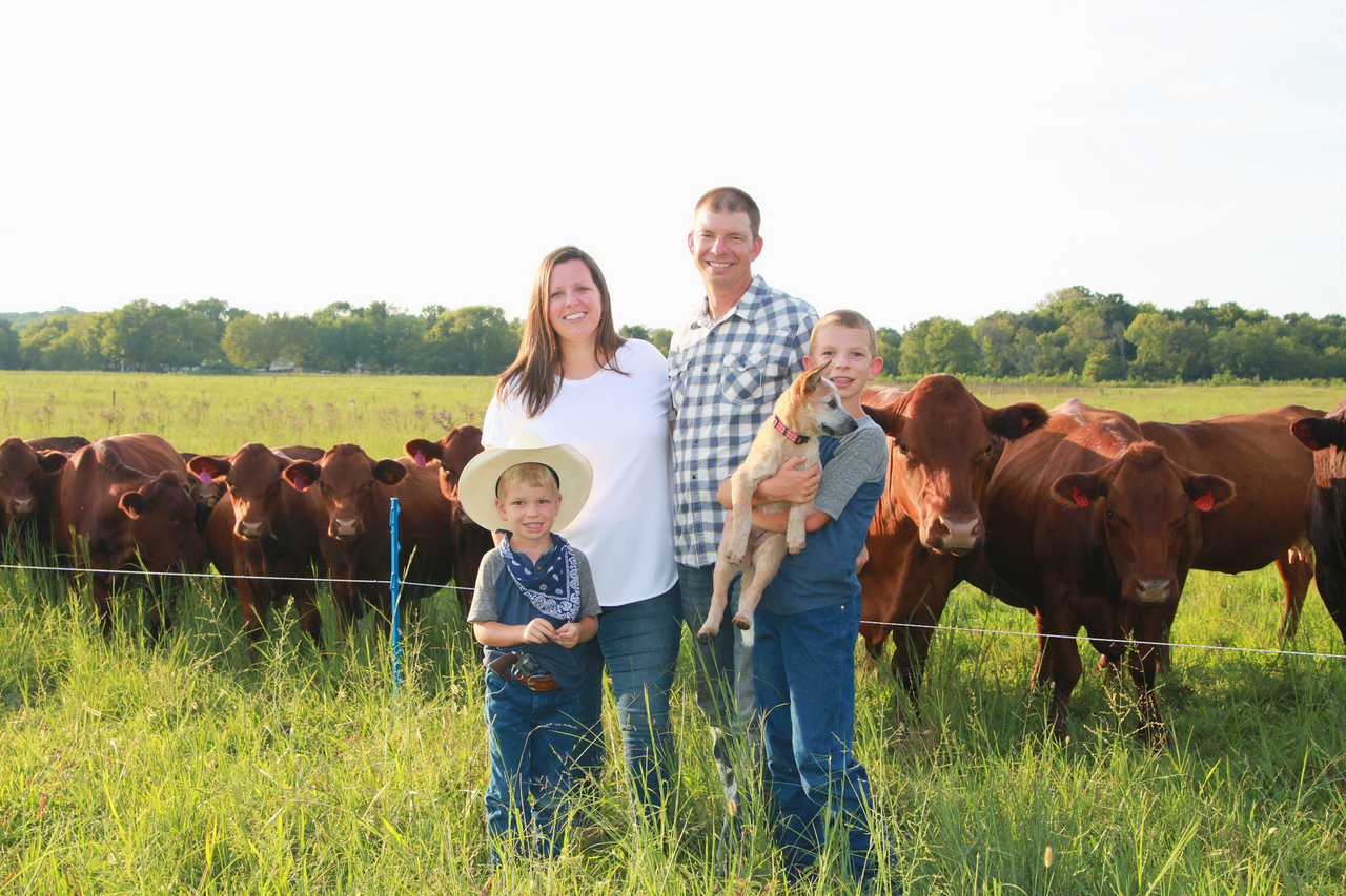 Crossing Creeks Farm Local Hens