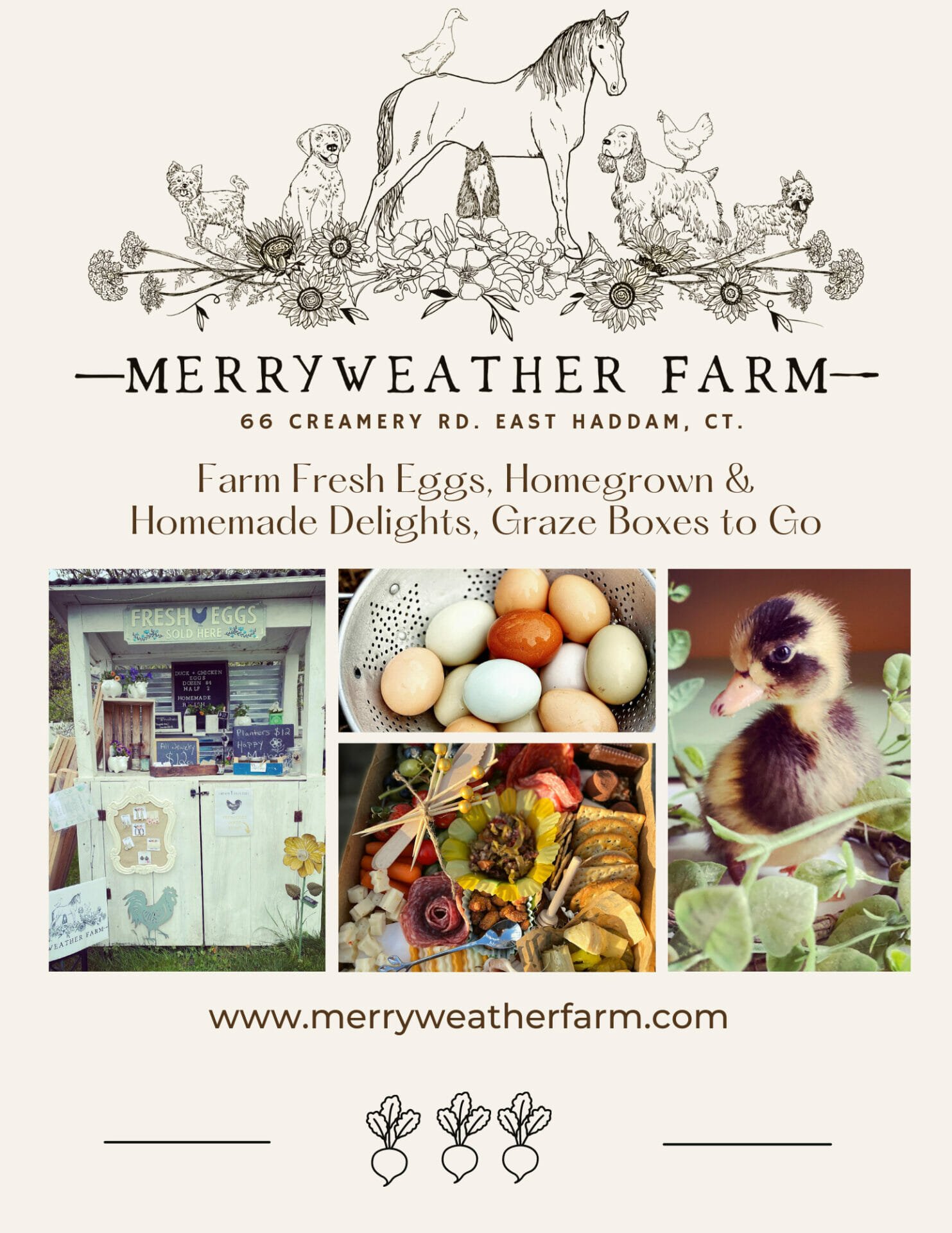 Merryweather Farm Local Hens