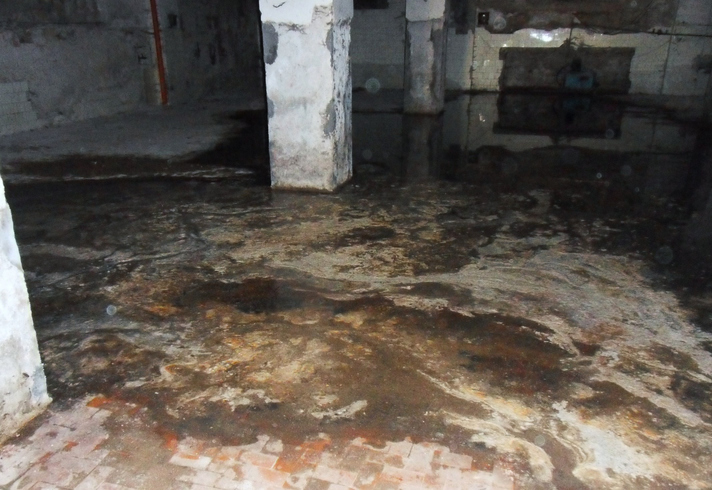How to Fix Water in Your Crawl Space (Easy Guide) Clean Attic & Crawl