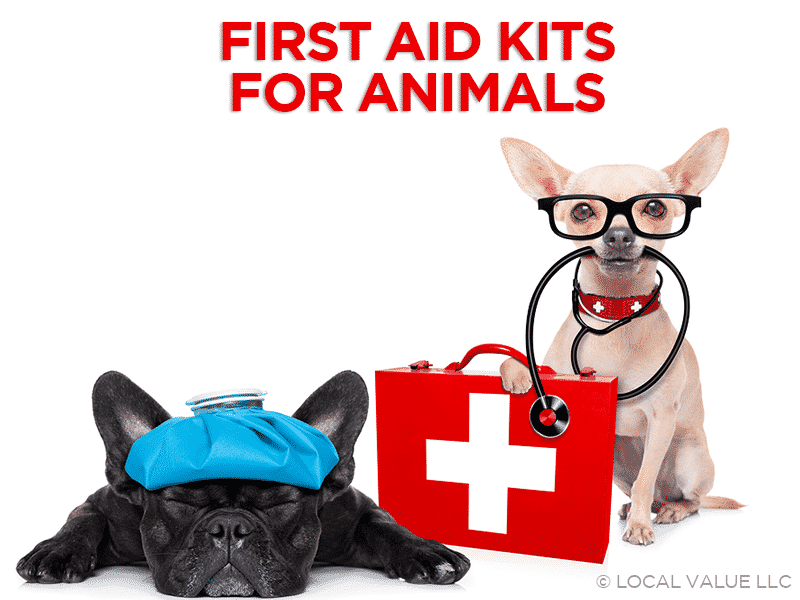 First Aid Kits For Animals Local Value Veterinary