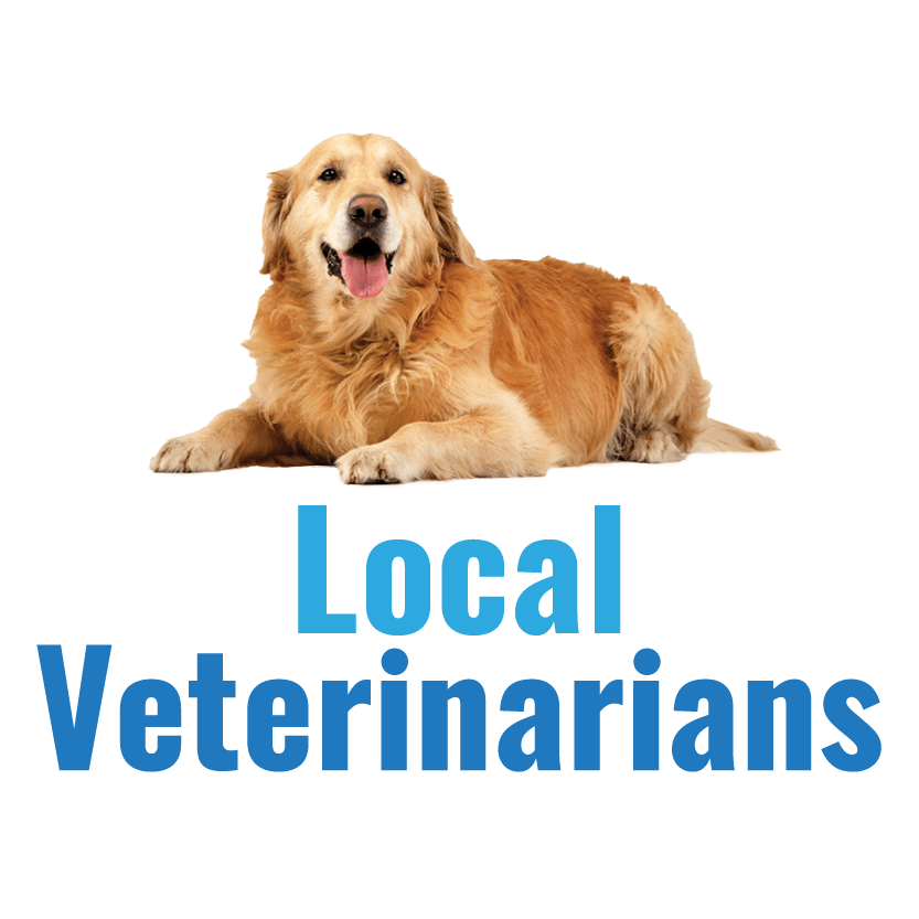 Local Veterinarians Find The Best Vets Near Me
