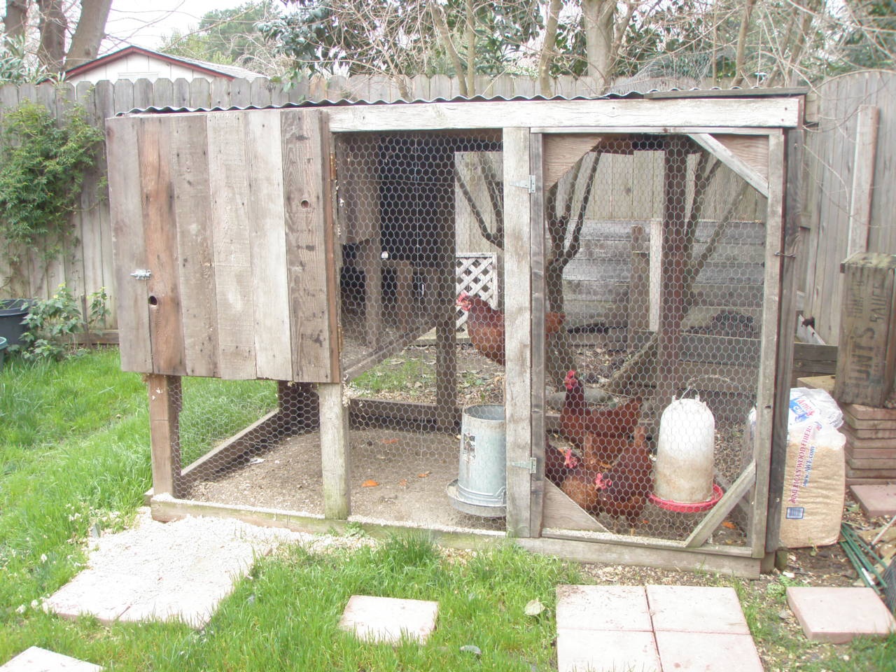 Information about "coop.jpg" on chickens Davis LocalWiki