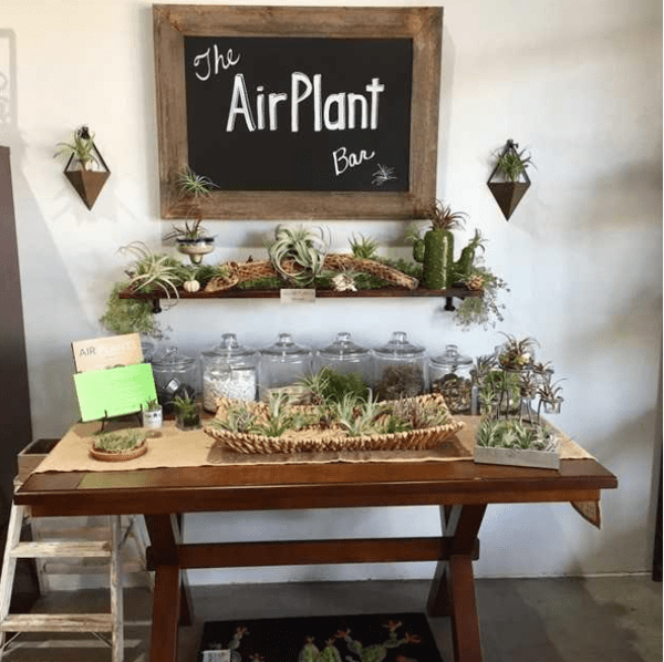 Inside+Out Gift & Home Décor Tucson Arizona LocalWiki