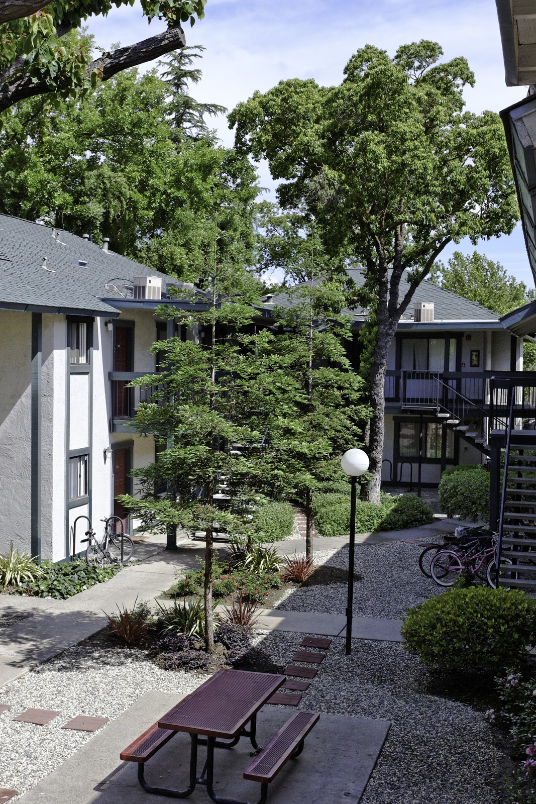 Information about "AspenCourt2.jpg" on the trees apartments Davis