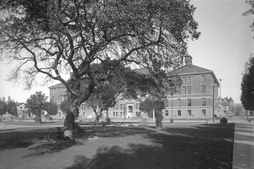 Oakland High School Oakland LocalWiki