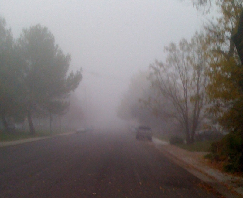 Winter in Davis Davis LocalWiki