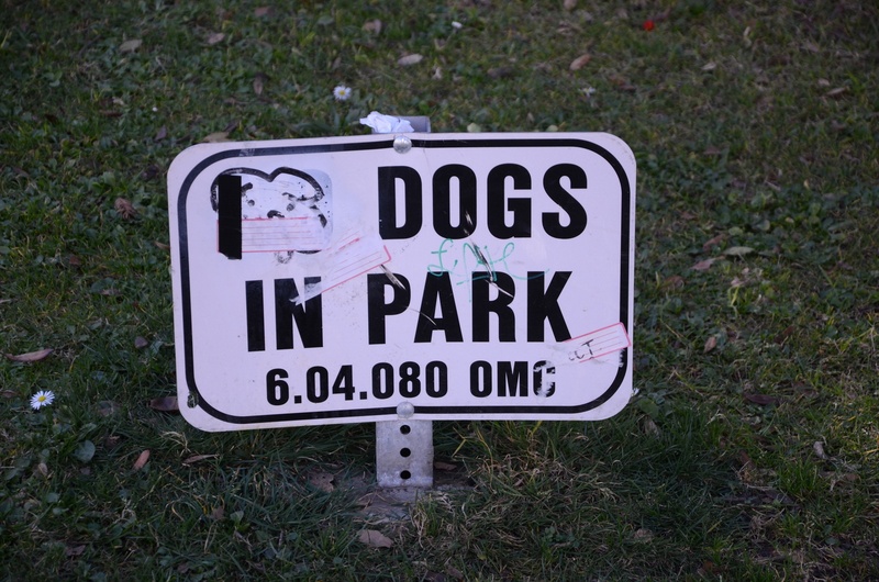 Dogs in Parks Oakland LocalWiki