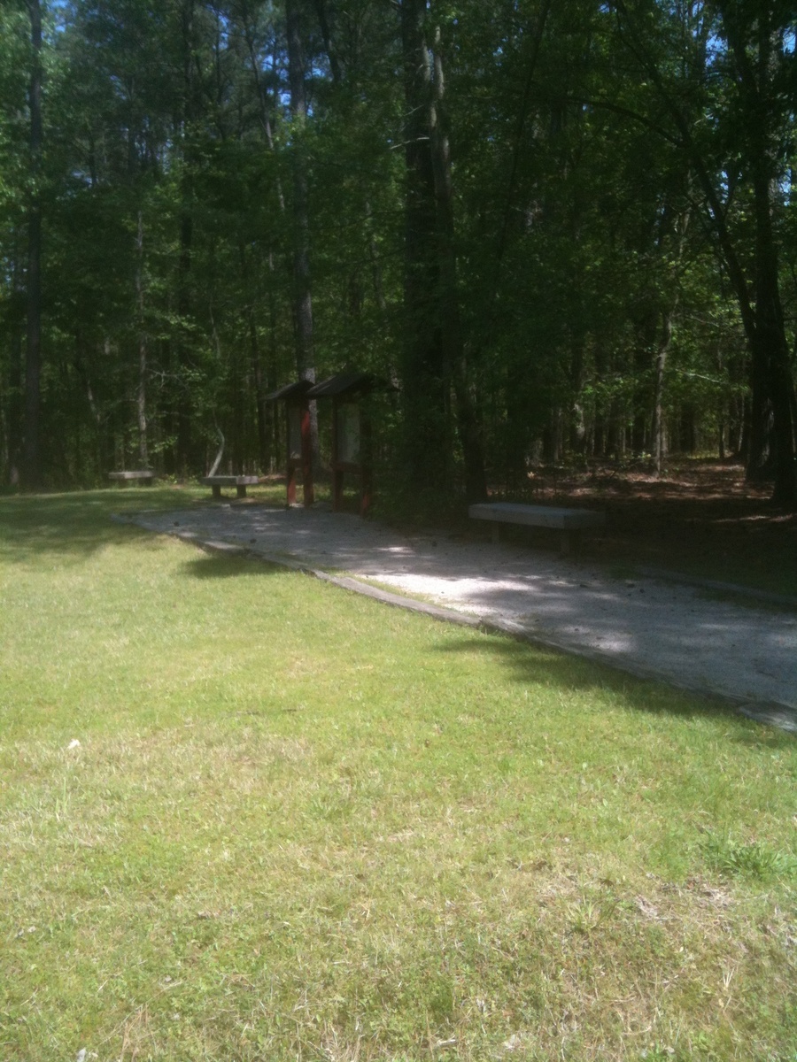 Information about "IMG_0415.JPG" on reedy creek trail william b