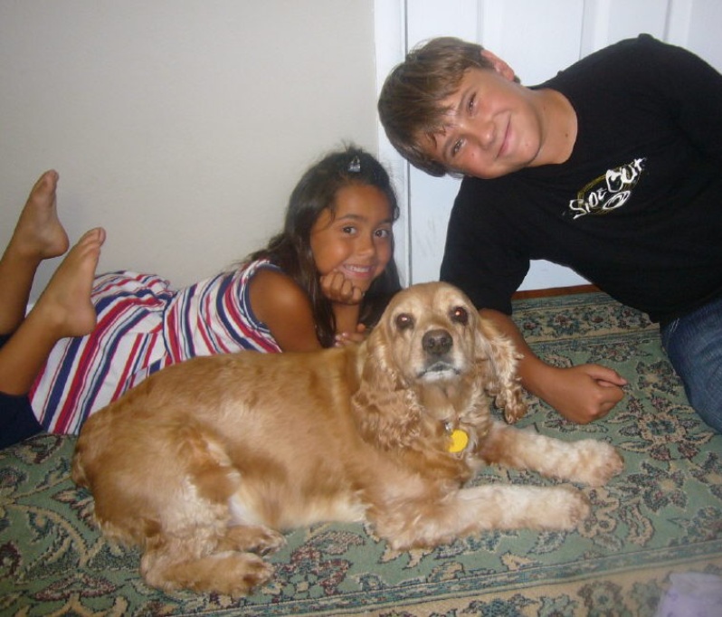 Sacramento Independent Animal Rescuers Sacramento LocalWiki