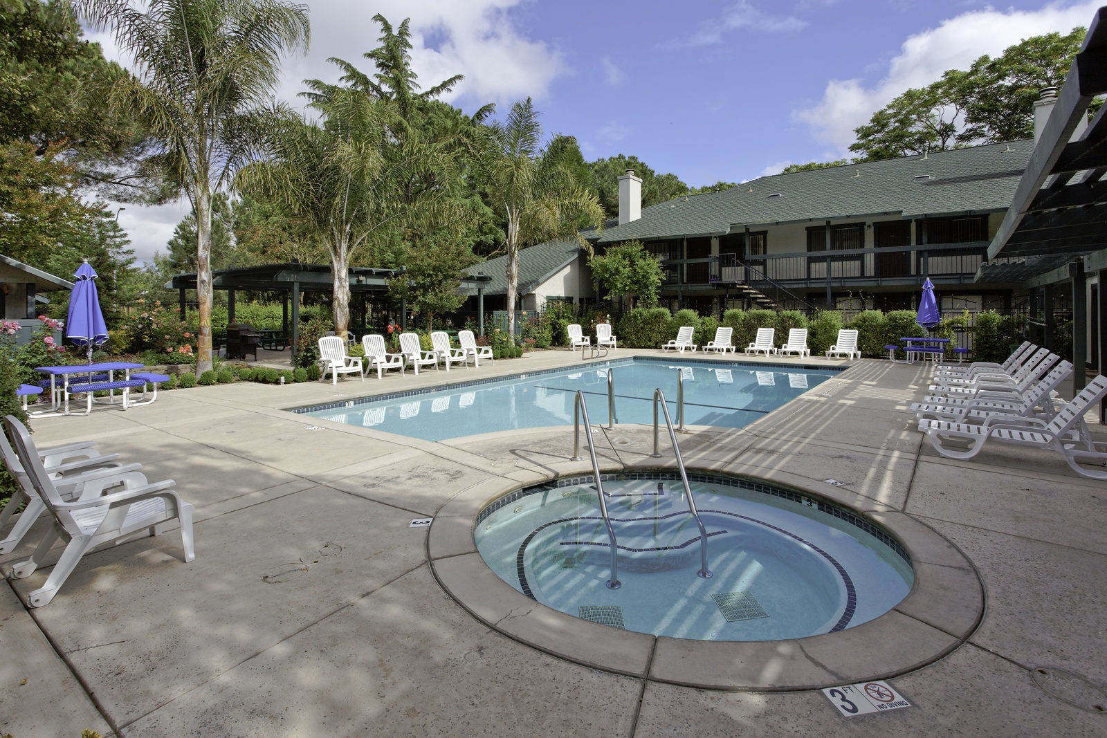 Information about "Pool1.jpg" on the trees apartments Davis LocalWiki