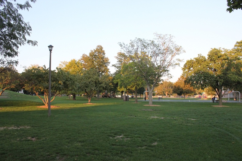 Douglass Park ChampaignUrbana LocalWiki