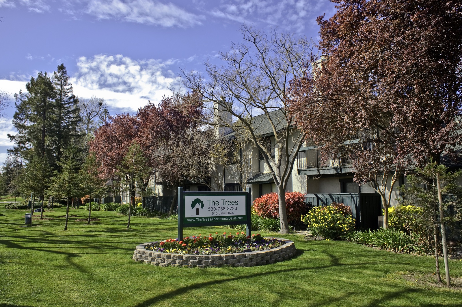 Information about "Russell.jpg" on the trees apartments Davis LocalWiki