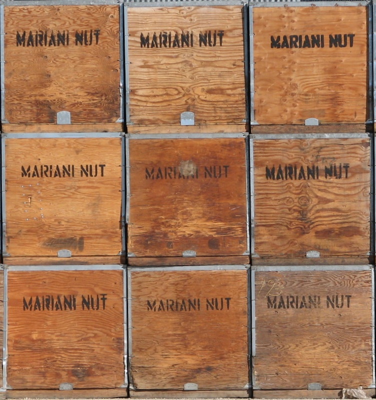 Mariani Nut Company Winters LocalWiki