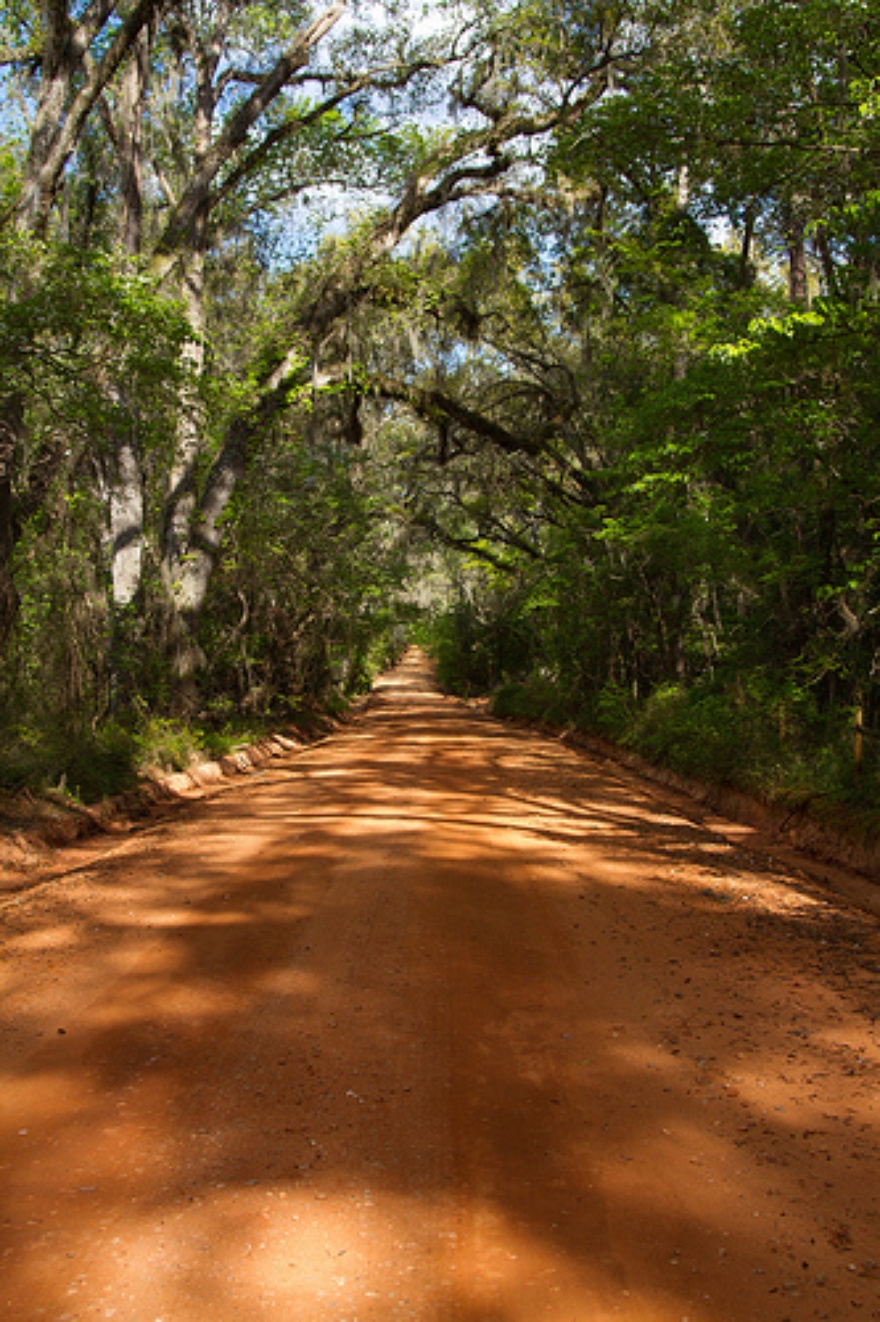 Canopy Roads Tallahassee LocalWiki