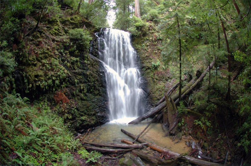 Berry Creek Falls Santa Cruz LocalWiki