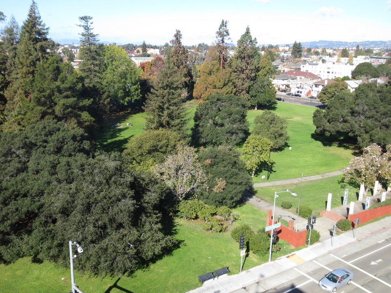 Mosswood Park Oakland LocalWiki