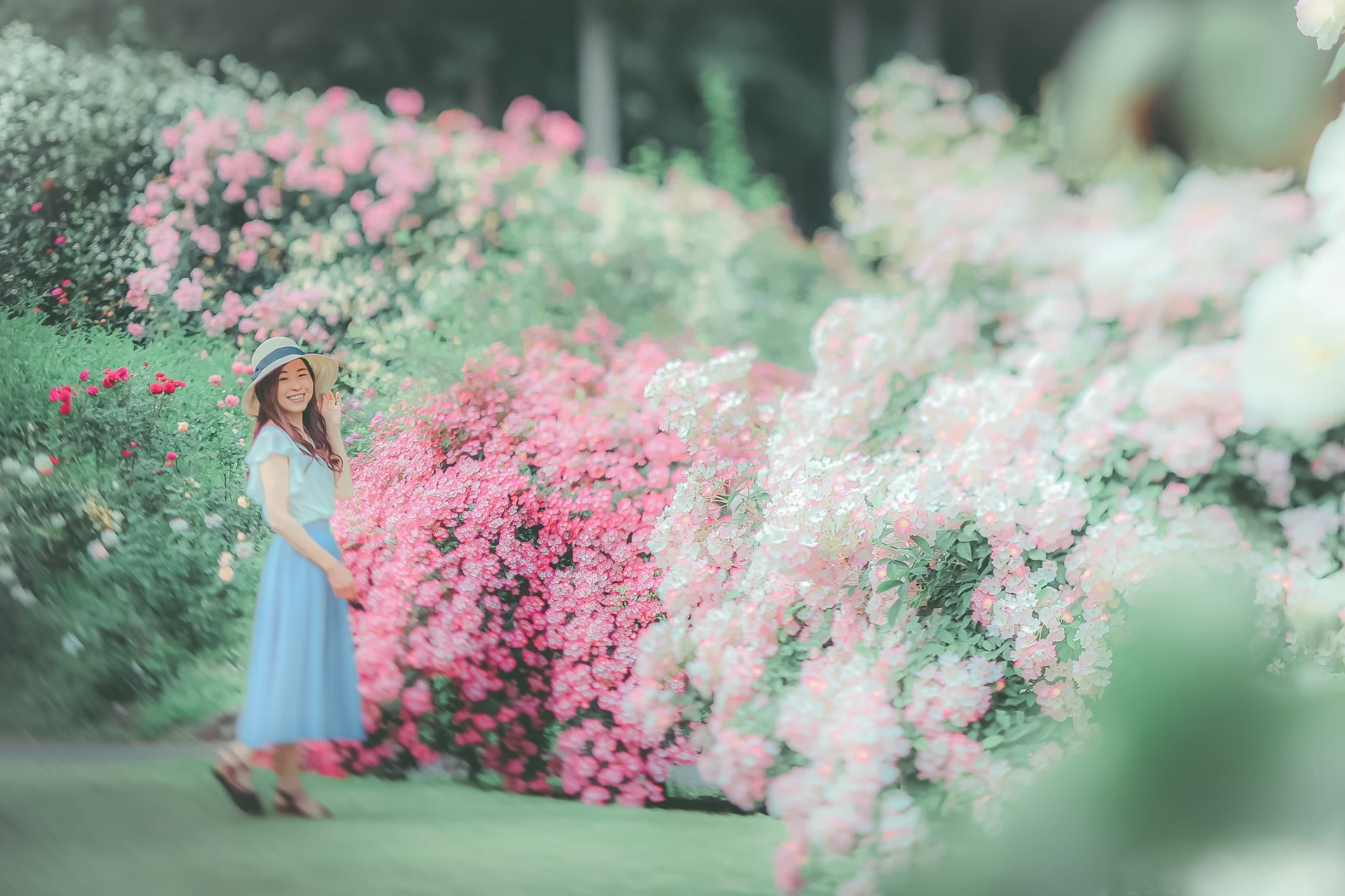 限定１セット☆『５５ml』【プリズマティックフレア】最先端虹色ホログラム効果☆ 81jjTc9x8HL._AC_UF894,