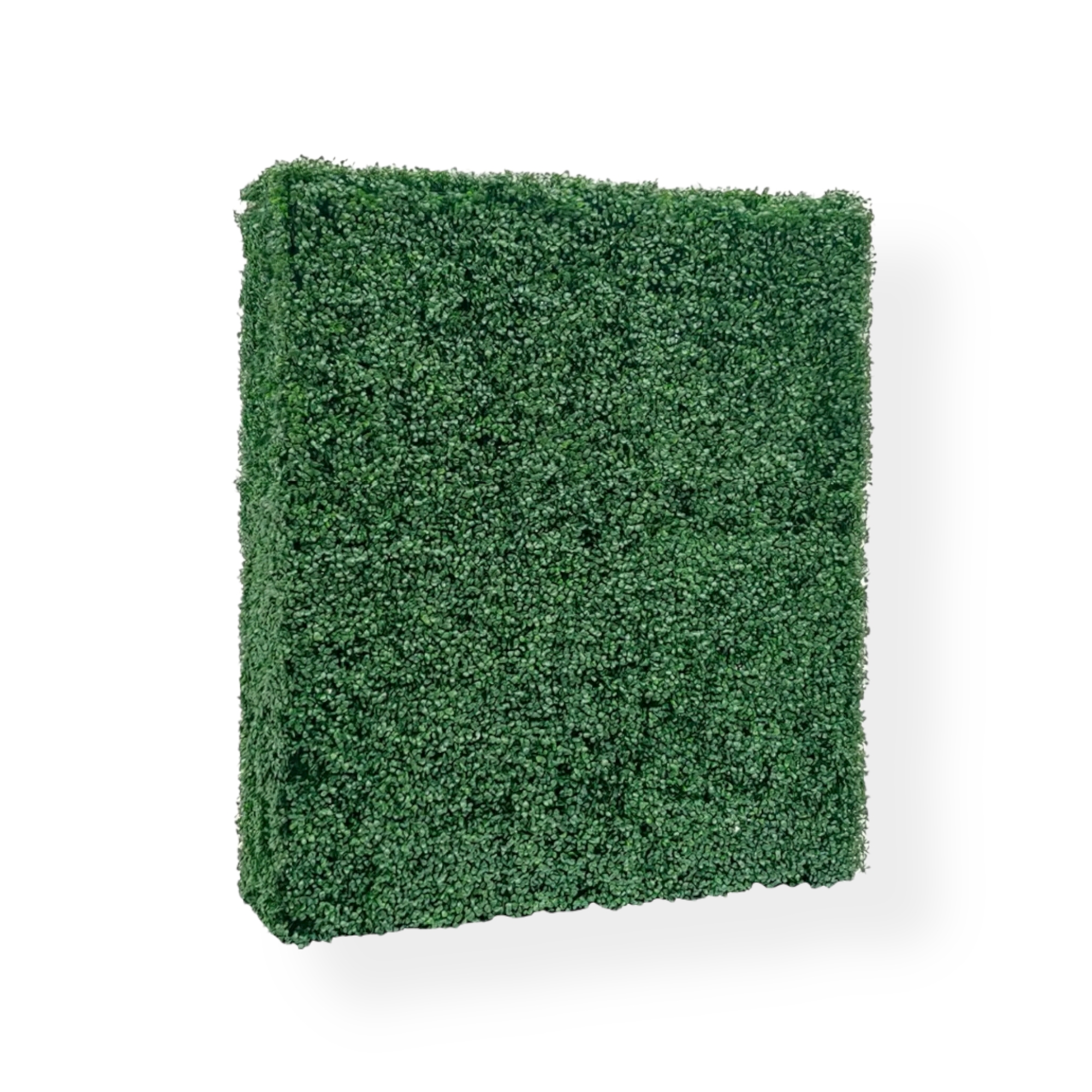 Grass Wall Location Celefete 4506885003