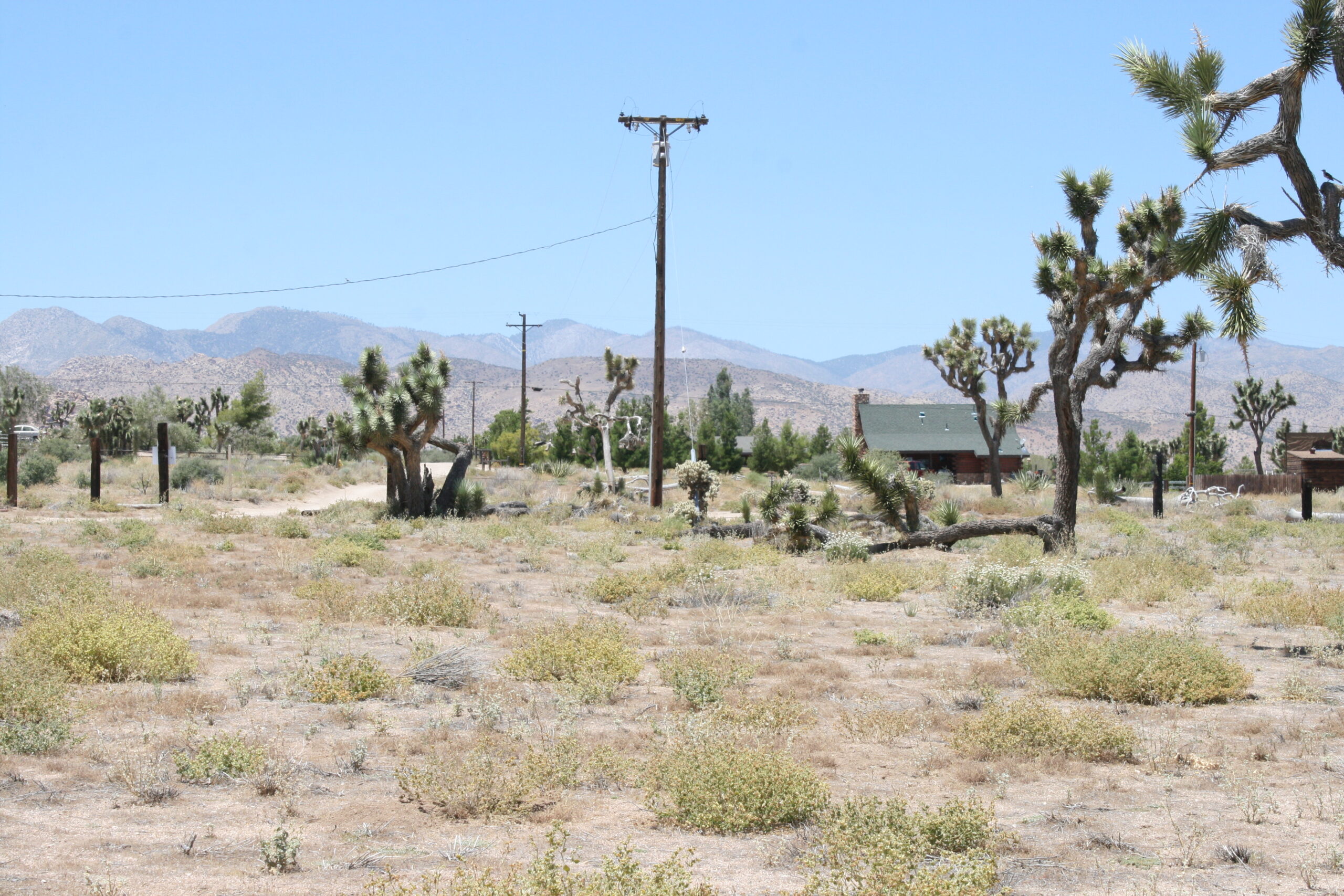 Hayden Ranch Locations Unlimited Inc.