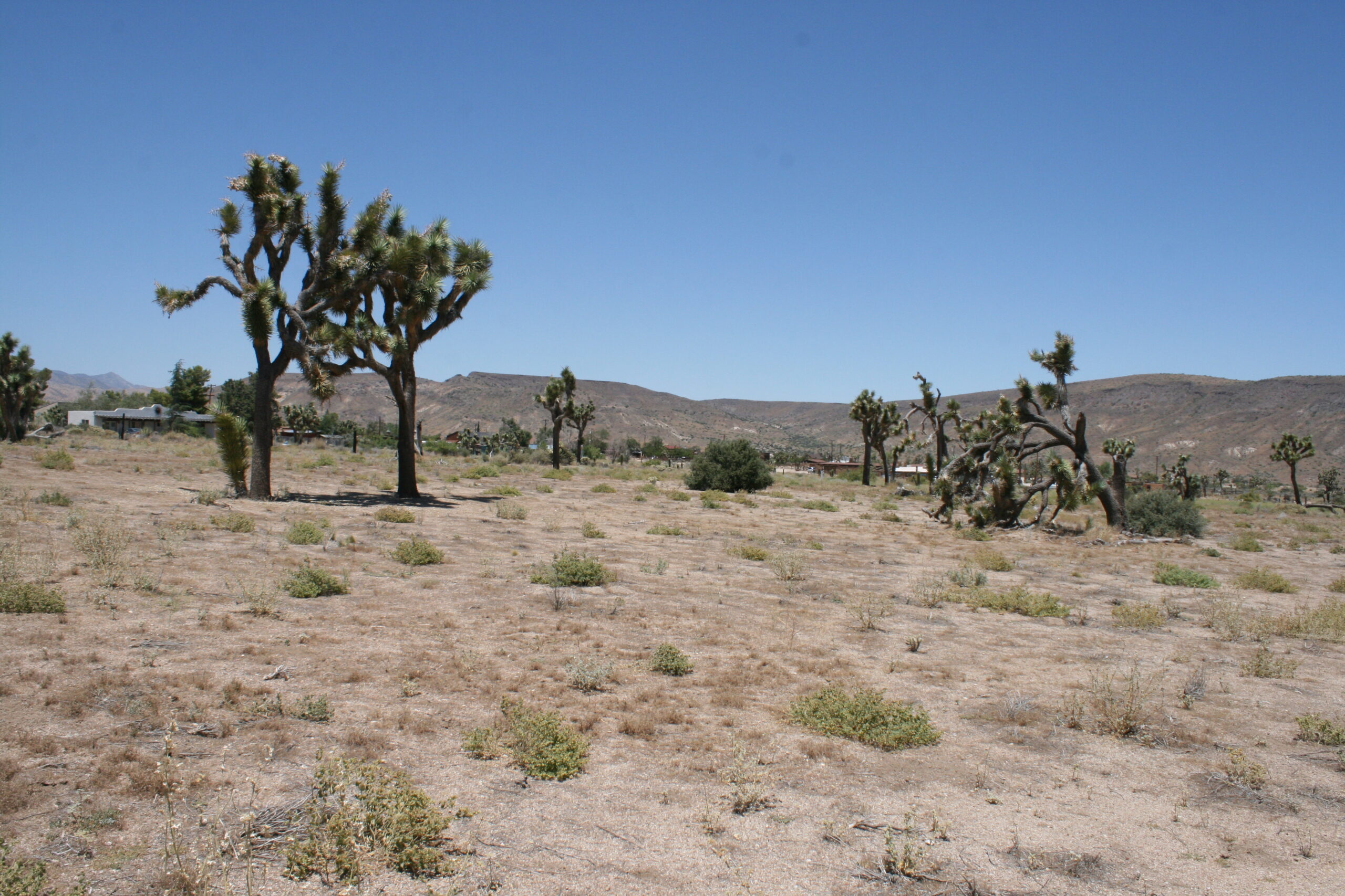 Hayden Ranch Locations Unlimited Inc.
