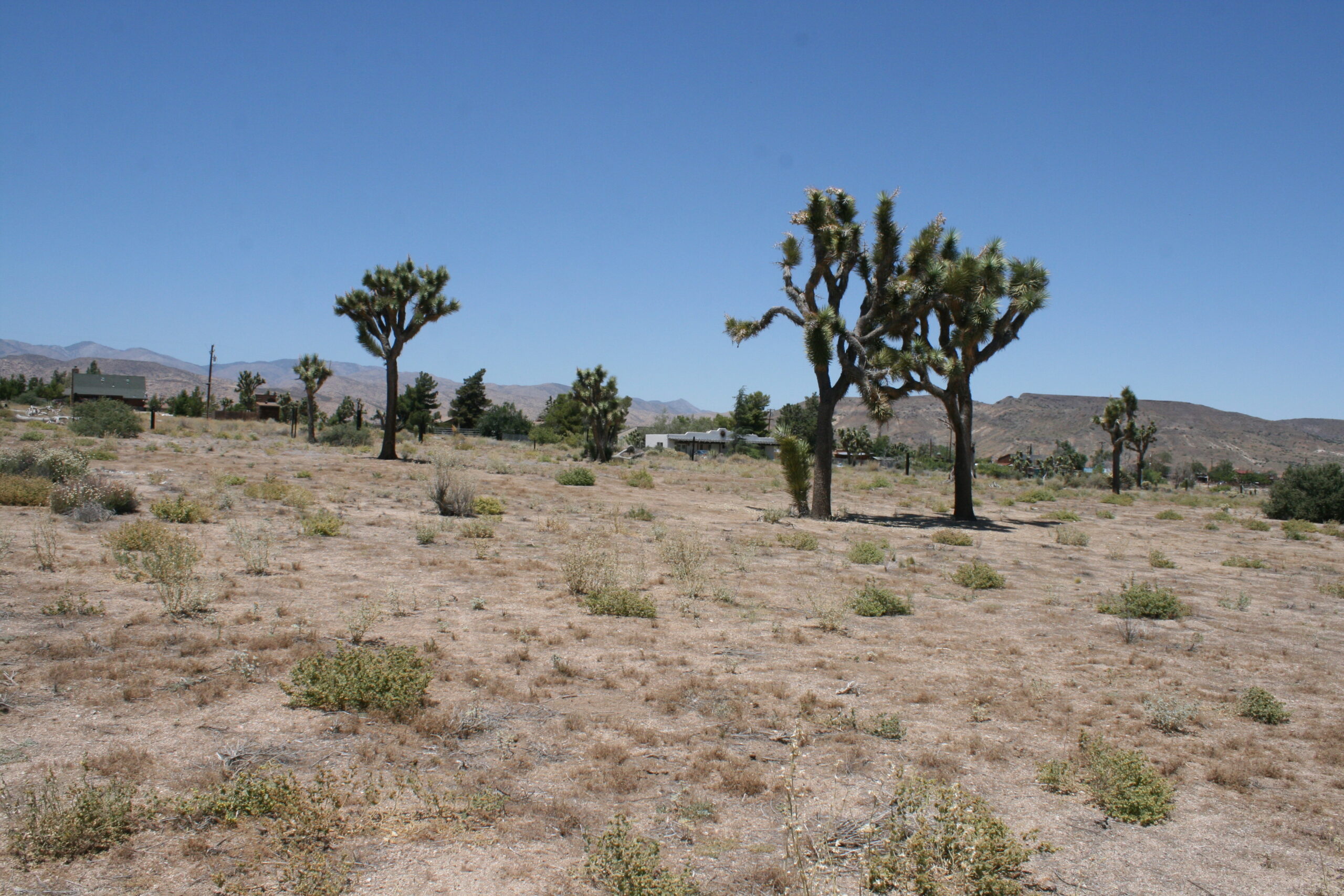 Hayden Ranch Locations Unlimited Inc.