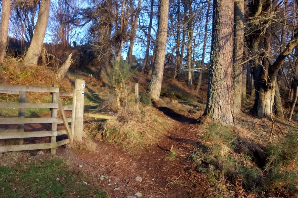 Section One Inverness to Drumnadrochit Loch Ness 360° Trail