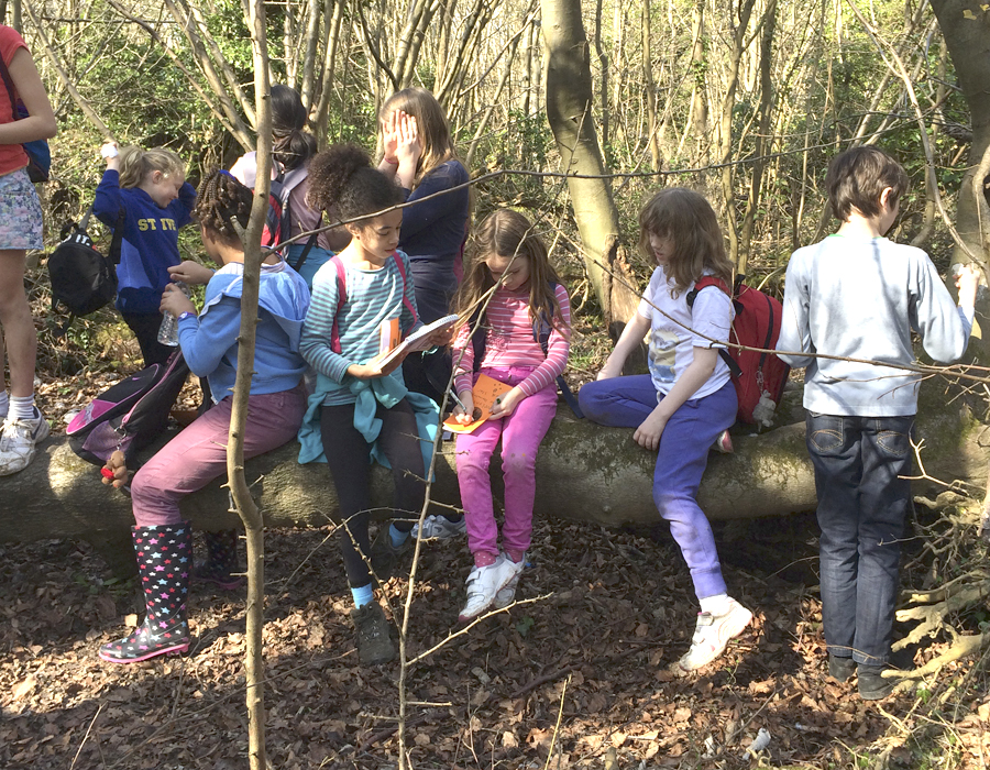 Woodcraft Folk News Lockerbrook Outdoor Centre