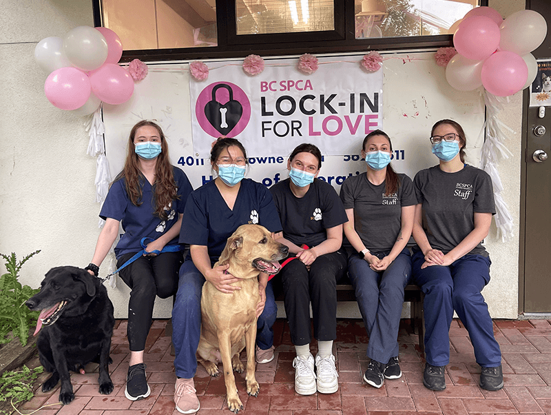 BC SPCA LockIn for Love