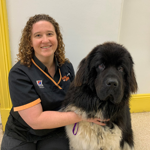 Dr Bronwyn Lockyer Avenue Veterinary Hospital