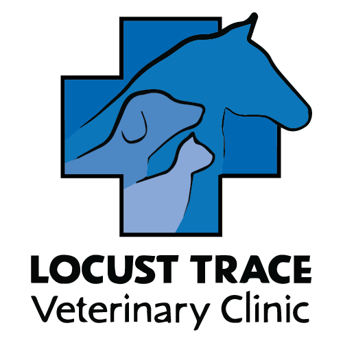 Veterinarian Lexington, Locust Trace Veterinary Clinic