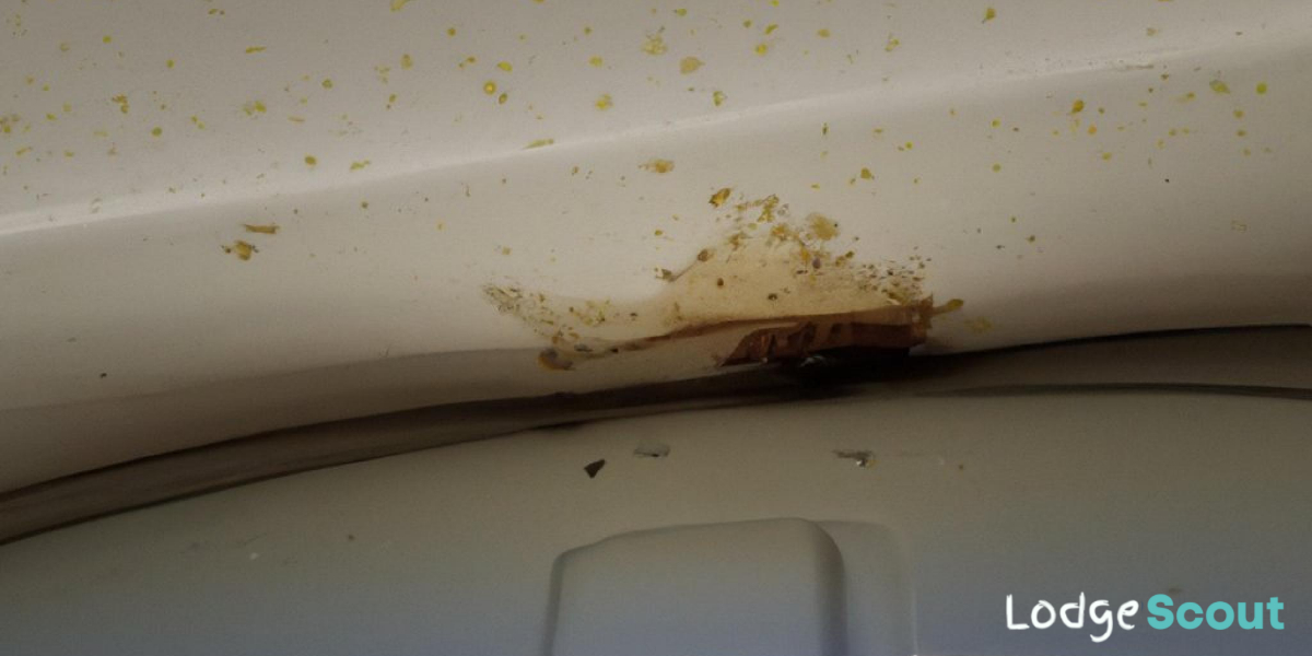 How To Repair RV Roof From Inside? [Motorhome Roof Repairs]