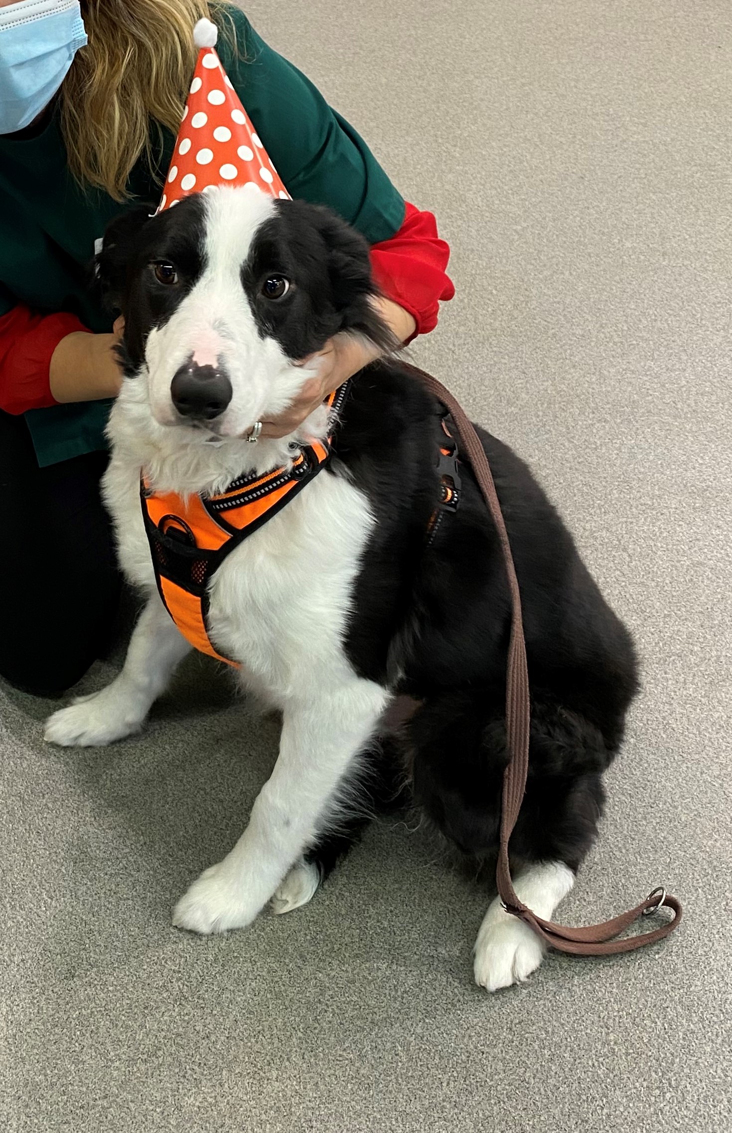 CONGRATULATIONS TO TIM The Lodge Veterinary Centre Birmingham