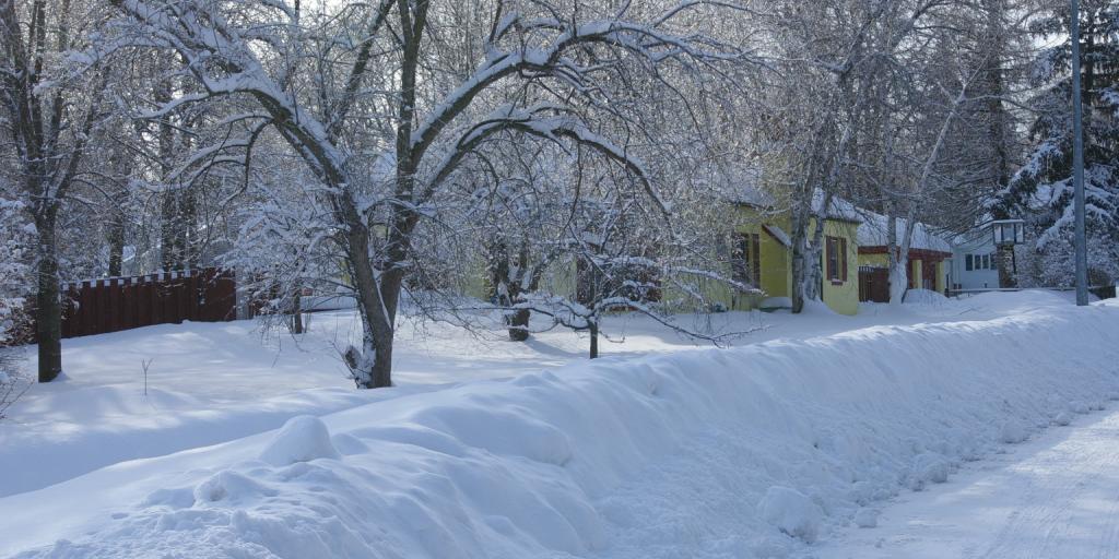 Snow EmergencyNo Parking on the Streets Lodi Valley Chronicle