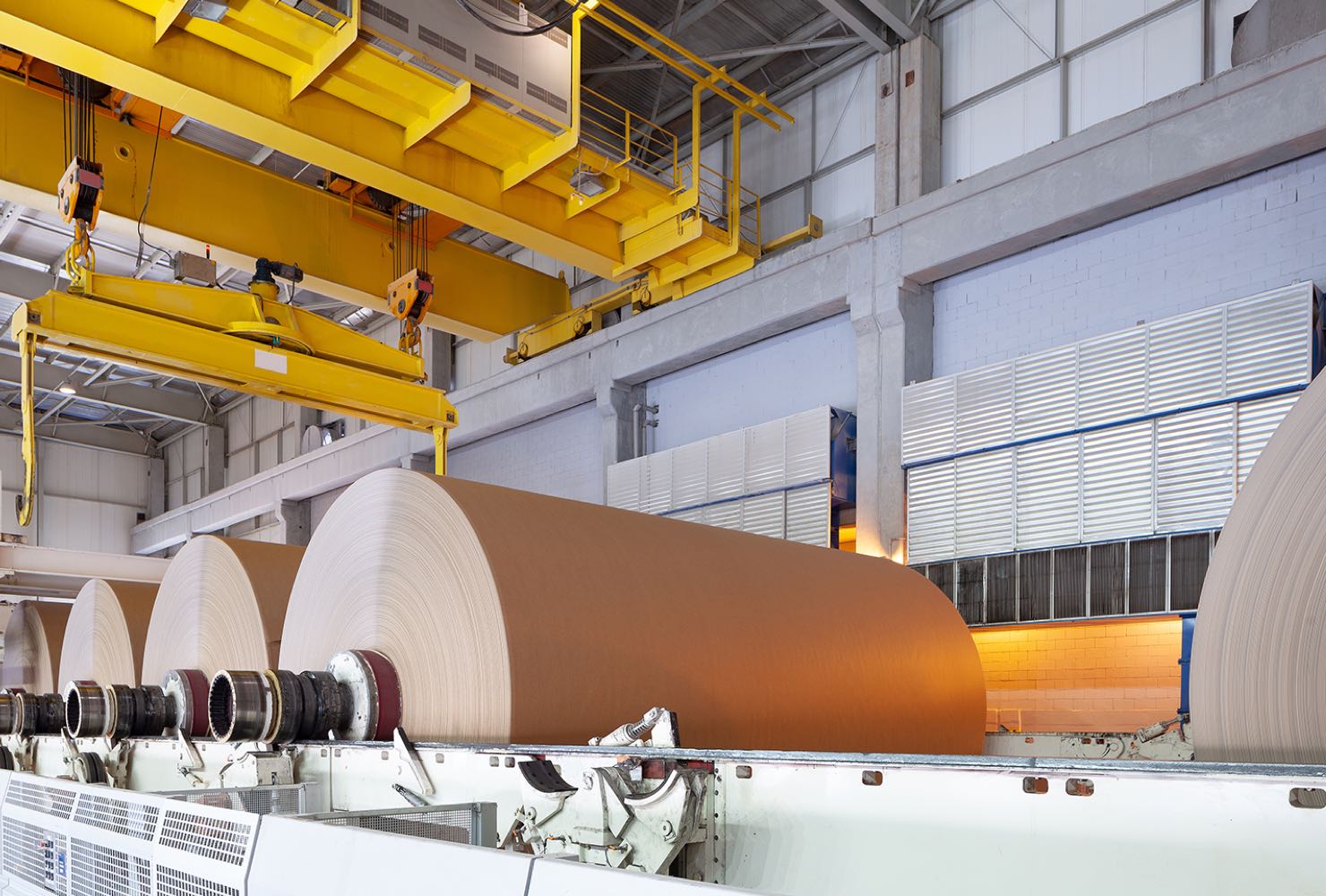 Pulp & Paper Loenbro