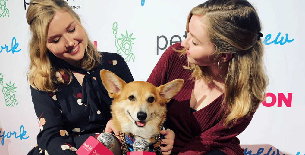 PetCon 2019 Meet the Celebrity Dog Lady Gaga Can’t Resist Double Talk