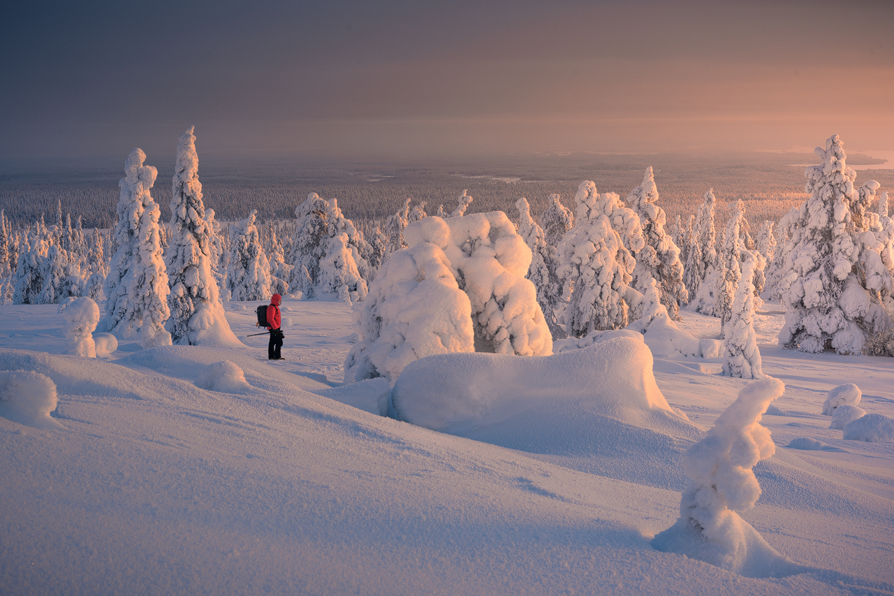 Lapland Adventure Finland 2022 Lofoten Tours