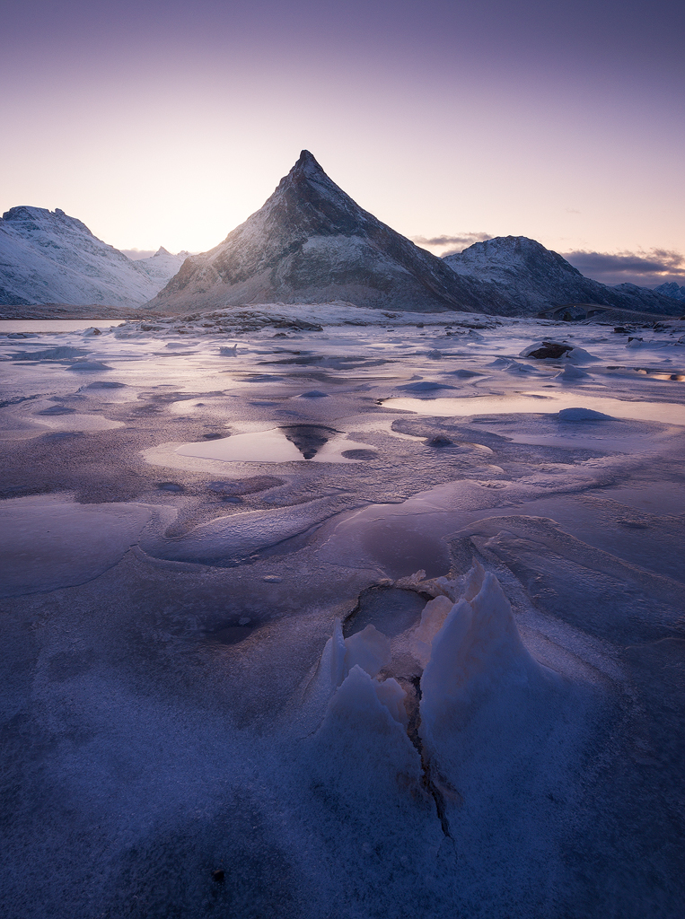 winter time 2023 Lofoten in Winter 2023 Lofoten Tours