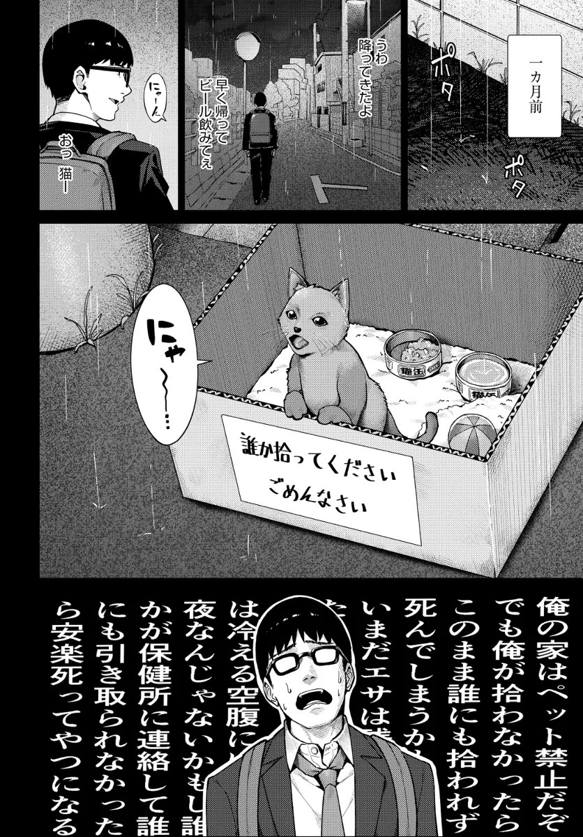 comicアンスリウム 2枚目