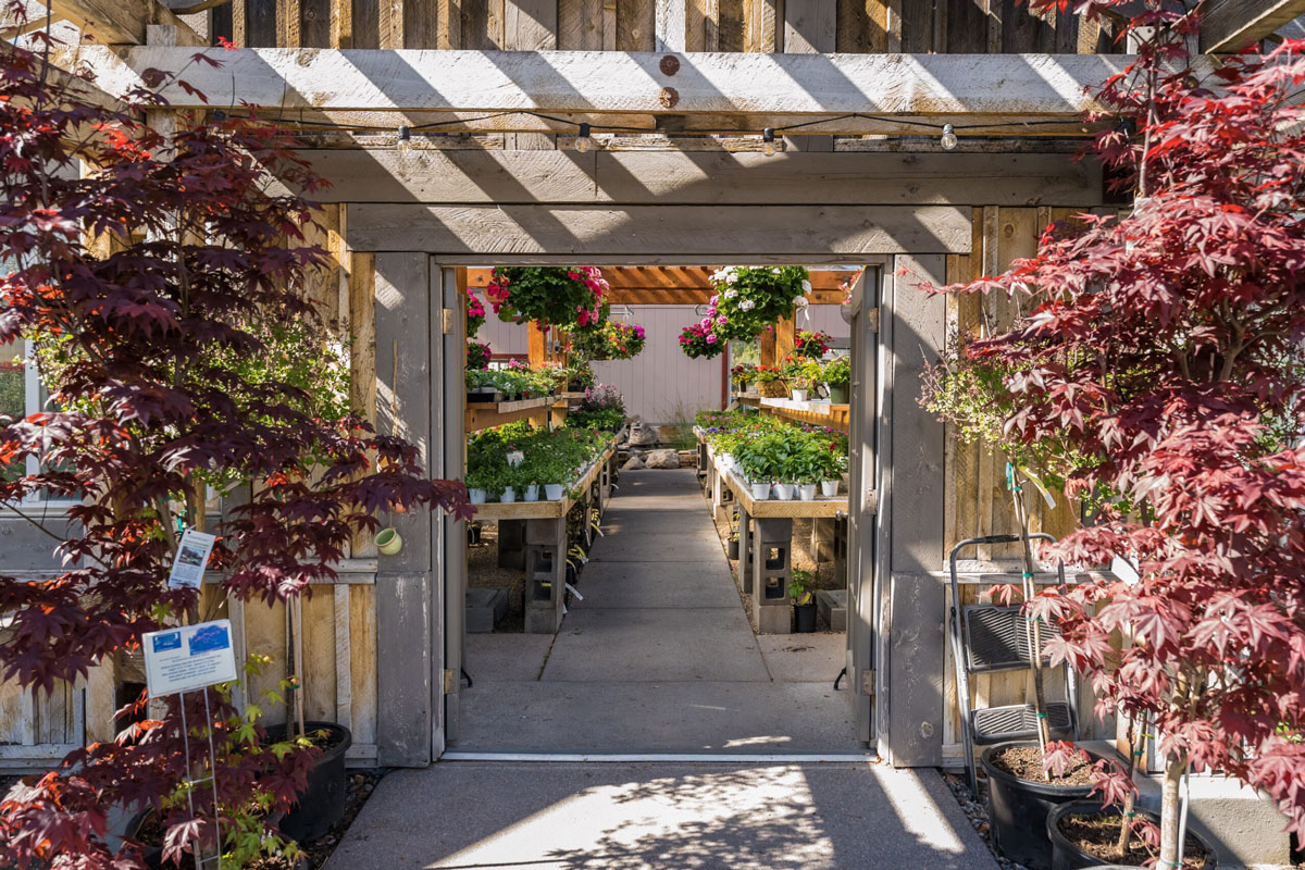 The GreenHouse Nursery Logan, Utah