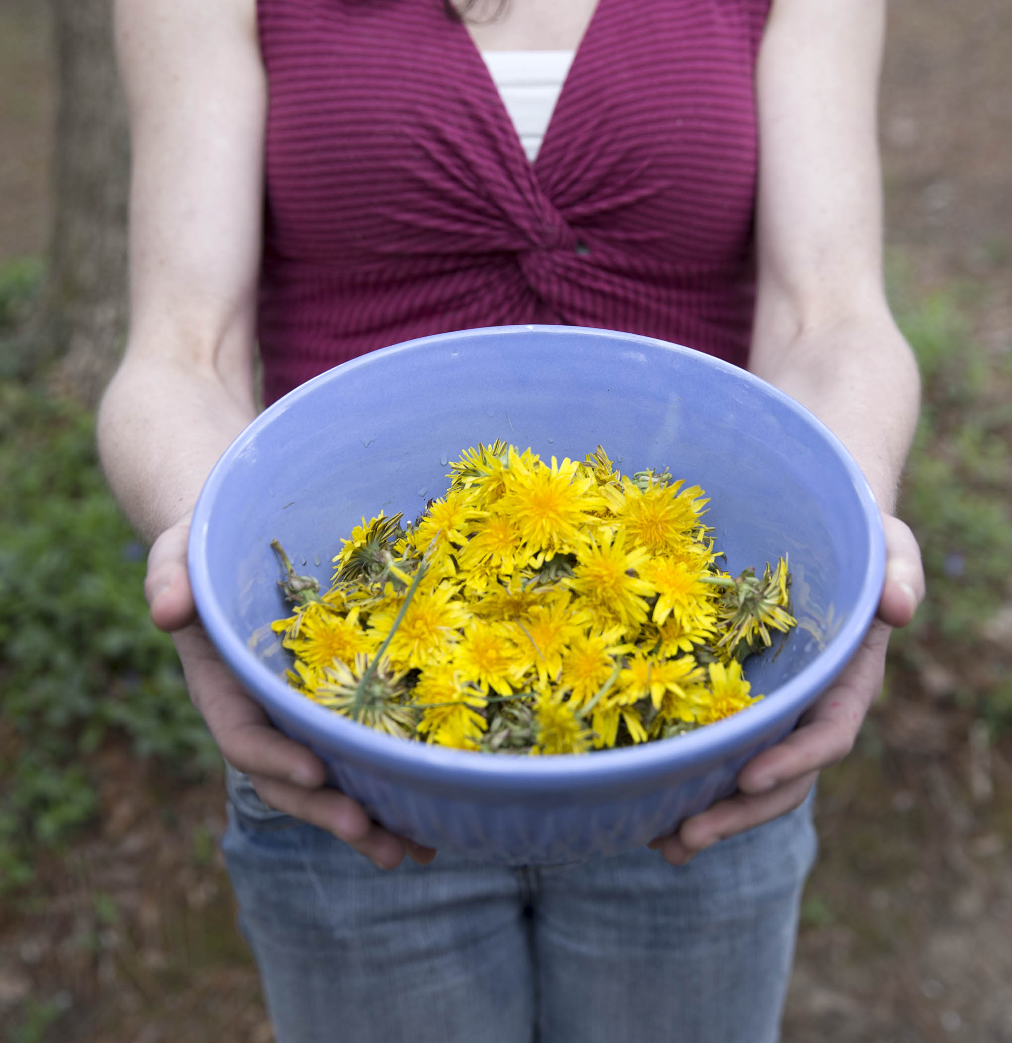 Dandelion Blossom Cordial Spritz Log Cabin Cooking