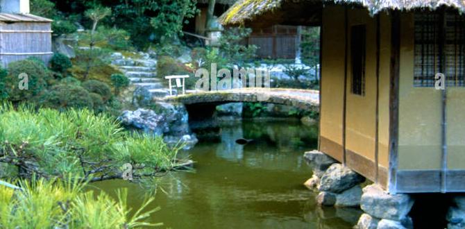 authentic teahouse experiences in Kyoto authentic teahouse experiences in Kyoto