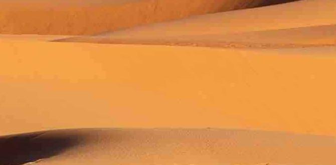 desert storytelling camps in Algeria desert storytelling camps in Algeria