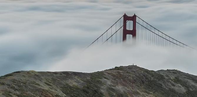 guided fog walks in San Francisco guided fog walks in San Francisco