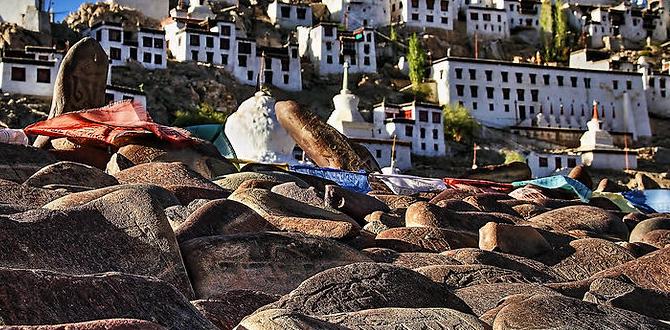 high altitude monasteries in Ladakh